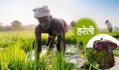 भाजपा मनाएगी मंडल स्तर पर हरेली तिहार