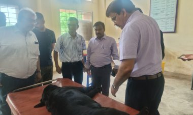 संभागायुक्त श्री कावरे ने पशु चिकित्सालय में दी दबिश,1 कर्मचारी को निलंबित करने के दिये निर्देश, 8 अधिकारी- कर्मचारी को थमाया नोटिस