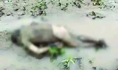 नदी में मिली अर्धनग्न अज्ञात व्यक्ति की लाश, पुलिस को परिजनों की तलाश