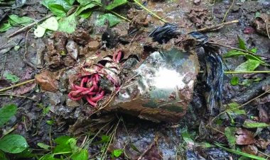 IED बम को कोबरा जवानों ने किया नष्ट, नक्सलियों की बड़ी साजिश नाकाम