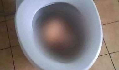 हॉस्पिटल के टॉयलेट में मिला नवजात शिशु का शव, जांच में जुटी पुलिस