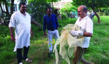 महज चार घंटे में संवारा कटिले झाडिय़ों से पट चुके उद्यान को