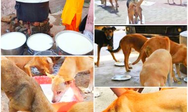 एक महारुद्राभिषेक ऐसा भी! दूध से खीर बना खिलाया पशुओं को