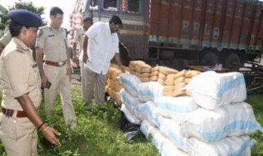 नीलगिरी की लकड़ियों के बीच छुपा रखा था 4 करोड़ का 20 क्विंटल गांजा