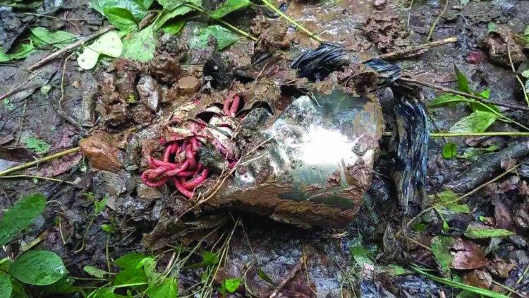 IED बम को कोबरा जवानों ने किया नष्ट, नक्सलियों की बड़ी साजिश नाकाम