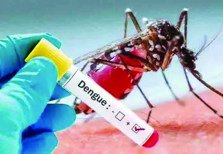 भिलाई टाउनशिप में डेंगू का बढ़ता कहर, अब तक मिले 26 मरीज