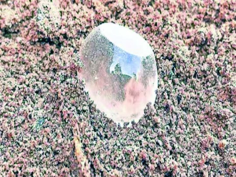 खुदाई में धरती के नीचे से मिली 600 ईसा पूर्व की अनोखी चीज