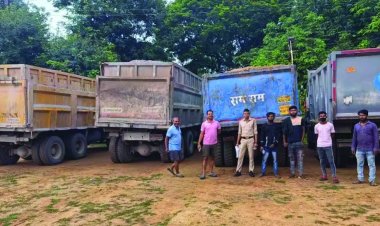 खनिज विभाग ने अवैध परिवहन करते 14 ट्रकों किया जब्त