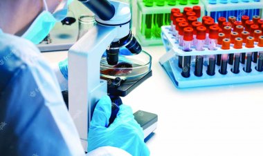 दुर्ग सीएमएचओ के बेटे की लैब पर 1.36 लाख रुपए का जुर्माना