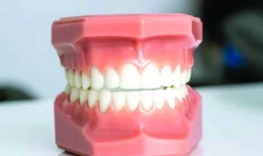 अब दवा से उगेंगे नए दांत, जापानी वैज्ञानिकों ने किया कमाल, हर उम्र के लोगों पर होगी असरदार