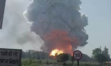 पटाखा फैक्ट्री में जबरदस्त विस्फोट से 7 लोगों की मौत, 60 से ज्यादा घायल