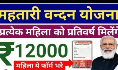 महतारी वंदन योजना: अब हितग्राही ऑनलाईन पोर्टल से जान सकेंगे अपने आवेदन की स्थिति