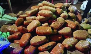 बेमेतरा में 2 करोड़ का गांजा जब्त, 6 क्विंटल 28 किलो गांजे के साथ 5 अंतरराज्यीय तस्कर गिरफ्तार