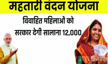 महतारी वंदन योजना के तहत अनन्तिम सूची जारी, खबर में दिए लिंक से जाने आवेदन की स्थिति