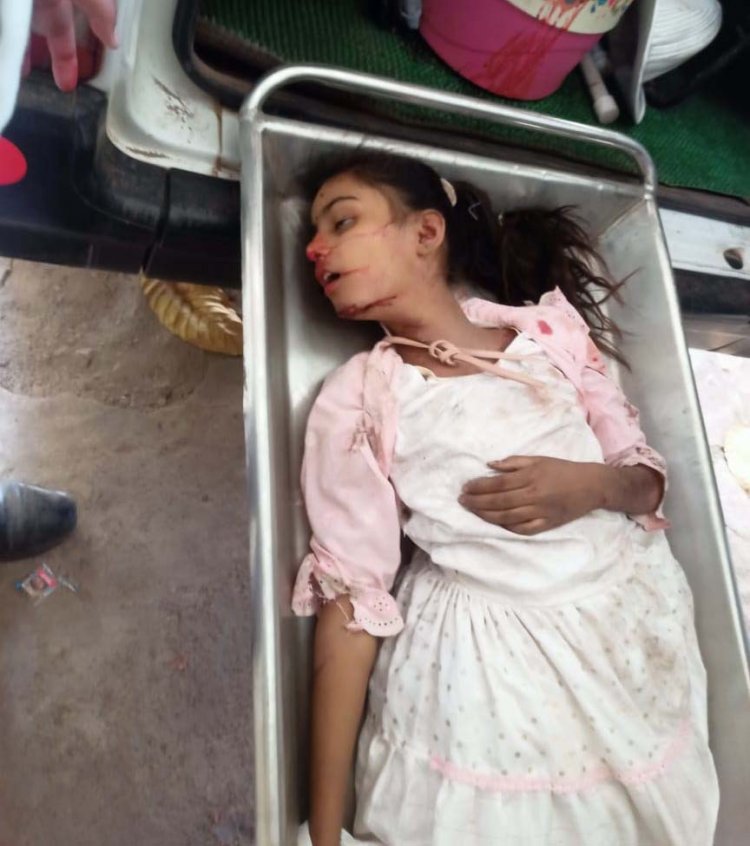 दुर्ग जिले में बड़ा सड़क हादसा, ट्रक ट्रेलर और बाइक की भिड़ंत में पिता-पुत्री की मौत, एक बच्ची गंभीर