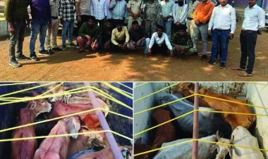 वाहन में मिले 23 मवेशी, 6 पशु तस्कर गिरफ्तार