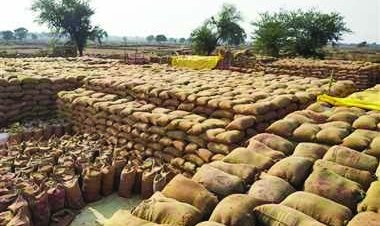 फर्जी धान खरीदी, समिति प्रबन्धक और प्रभारी पर अपराध दर्ज