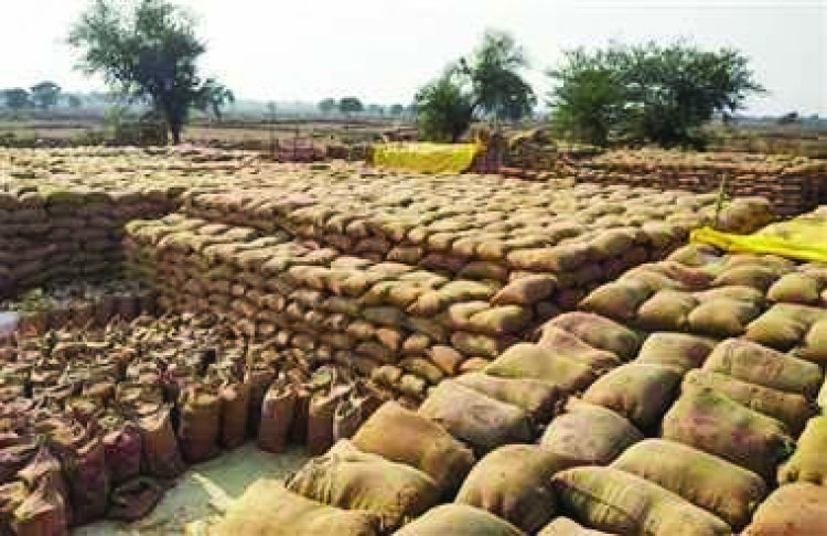 फर्जी धान खरीदी, समिति प्रबन्धक और प्रभारी पर अपराध दर्ज