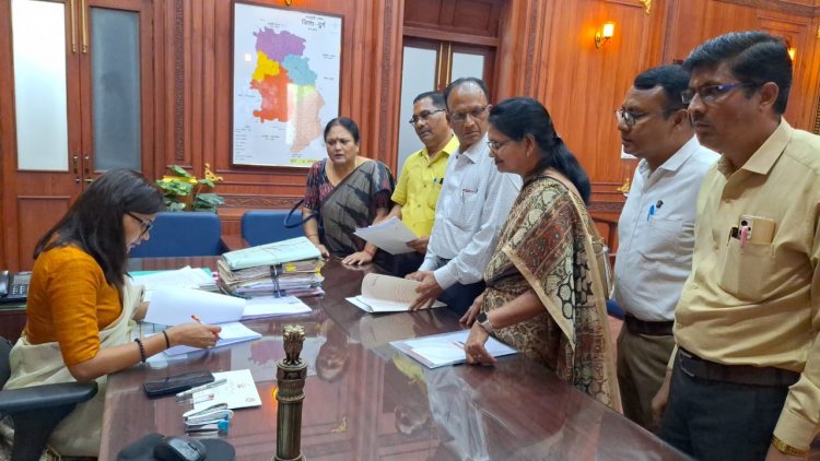 शासकीय सड़क पर अवैध नाली निर्माण की कलेक्टर से की शिकायत