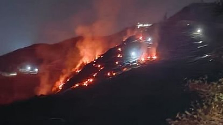 उत्तराखंड के कई जंगलों में लगी भीषण आग, ली जा रही वायुसेना की मदद