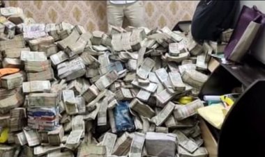 VIDEO: ED की रेड में ग्रामीण विकास मंत्री के निजी सचिव के घरेलू सहायक से 20 करोड़ कैश बरामद