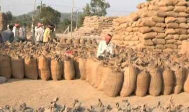 धान खरीदी में 2 करोड़ का फर्जीवाड़ा, 10 लोगों के खिलाफ FIR दर्ज