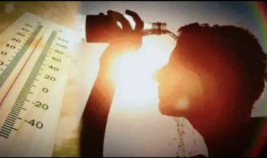 इस राज्य में लू ले दो दिनों में 73 लोगों की मौत