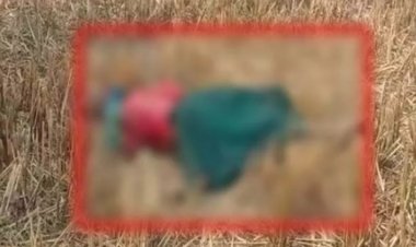 सड़क किनारे खेत में मिली अज्ञात महिला की लाश