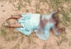 महिला की खून से लथपथ लाश तालाब किनारे मिली, पहचान छिपाने पत्थर से कुचल दिया सिर