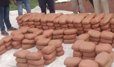 गोभी सब्जी के आड़ में मिला 25 लाख का गांजा