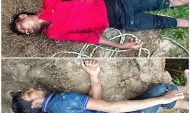 टुल्लू पम्प को निकालने कुएं में उतरे दो युवाओं की करंट लगने से मौत