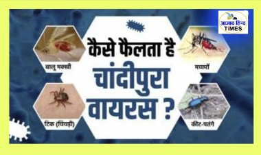 चांदीपुरा वायरस को लेकर केंद्र सरकार का अलर्ट जारी, अब तक 48 बच्चों की हो चुकी है मौत, आप भी हो जाए सावधान, पढ़े पूरी खबर