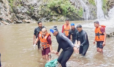 जलप्रपात में डूबने से डिप्टी सीएम के भांजे की मौत