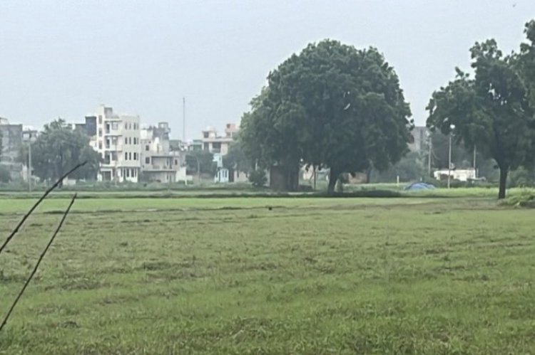ED ने जब्त की 834.03 करोड़ रुपए की संपत्ति