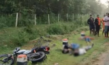 सड़क हादसे में दो दोस्तों की मौत, एक घायल