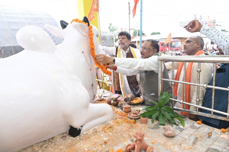 मड़ियापार पोला महोत्सव में शामिल हुए मुख्यमंत्री श्री साय, बैल दौड़ को हरी झण्डी दिखाकर कार्यक्रम का किया शुभारंभ