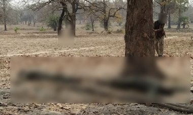 छत्तीसगढ़ में 32 नक्सलियों का खात्मा, मुठभेड़ जारी, नक्सलियों के शव सहित एके-47 राइफल, एसएलआर जैसी ऑटोमेटिक बंदूकें व भारी मात्रा में विस्फोटक बरामद