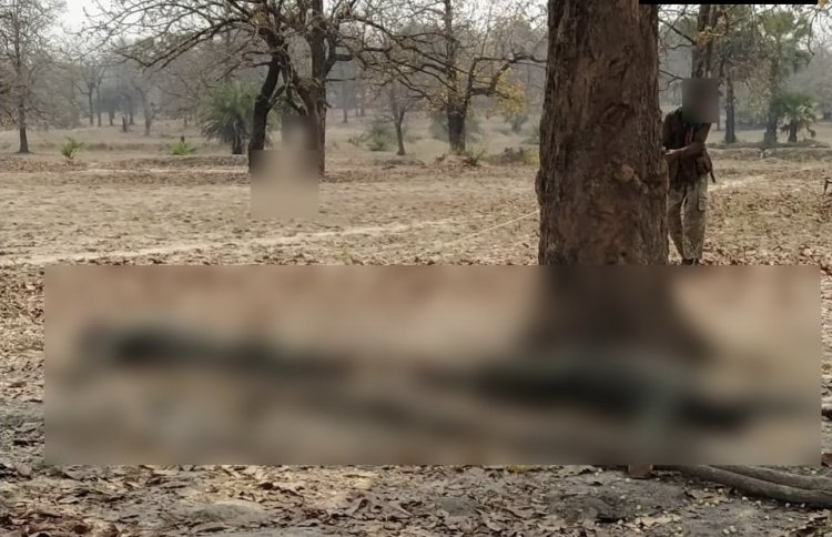 छत्तीसगढ़ में 32 नक्सलियों का खात्मा, मुठभेड़ जारी, नक्सलियों के शव सहित एके-47 राइफल, एसएलआर जैसी ऑटोमेटिक बंदूकें व भारी मात्रा में विस्फोटक बरामद