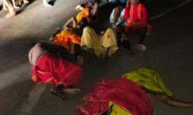 कोयले से भरे ट्रेलर ने मेला देखकर लौट रहे लोगों को मारी टक्कर, 7 की मौत