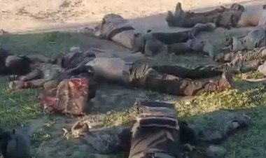 सीआरपीएफ ने मुठभेड़ के दौरान 11 उग्रवादियों को मार गिराया