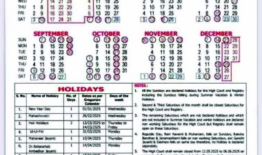 छत्तीसगढ़ हाई कोर्ट ने साल 2025 का कैलेंडर किया जारी, न्यायालय में कौन-कौन से दिन रहेगी छुट्‌टी, देखें सूची