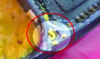 ड्यूटी पर तैनात जवानों को परोसा गया कीड़ा बिलबिलाता हुआ खाना, देखें VIDEO