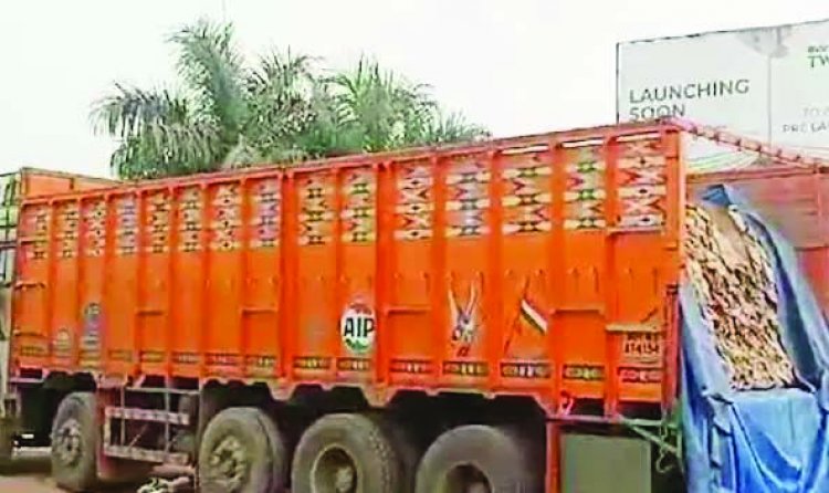 दुर्ग जिले में पकड़ा गया जानवरों के खाल से भरे ट्रक