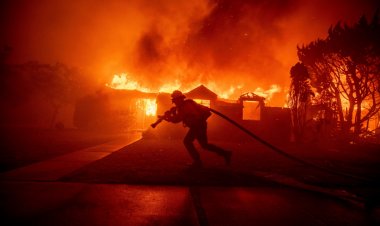 बेकाबू हुई जंगल में लगी आग, हजारों घर जले, अपना आशियाना छोड़ भागे लोग