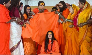 अभिनेत्री ममता कुलकर्णी को महामंडलेश्वर बनाए जाने पर किन्नर अखाड़े में घमासान, पद से हटाया