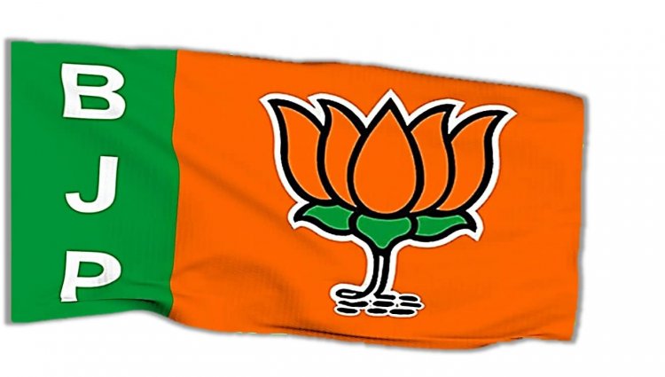 रिसाली नगर निगम और धमधा पंचायत के बदले गए BJP प्रत्याशी, देखें नई सूची