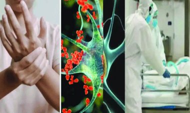 वायरस ने बढ़ाई चिंता, गुइलेन-बैरे सिंड्रोम से अब तक 5 लोगों की मौत, अब तक मिले 170 संदिग्ध मरीज