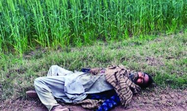 पाकिस्तानी घुसपैठिए को बीएसएफ ने किया ढेर