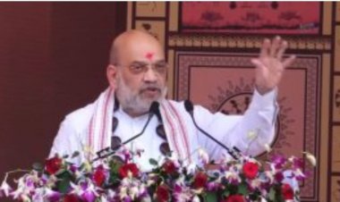 नक्सलियों से गृहमंत्री अमित शाह ने मुख्यधारा में शामिल होने की अपील, 5500 रुपये में सरकार खरीदेगी तेंदूपत्ता