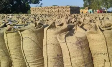 इस धान खरीदी केन्द्र में करोड़ों का घोटाला, समिति प्रबंधक, कम्प्यूटर ऑपरेटर और भृत्य के खिलाफ अपराध दर्ज